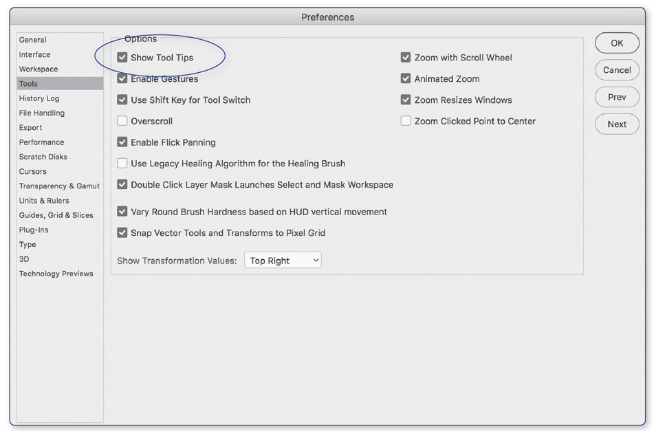 Photoshop Preferences - Show Tips