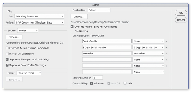 Creating a Batch Process dialogue box