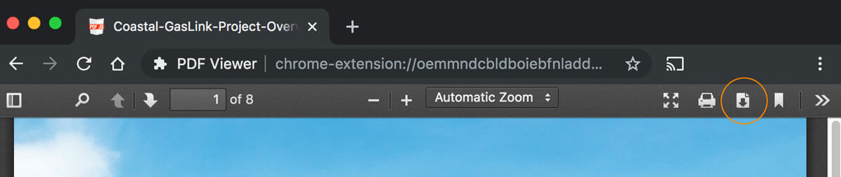 In the web browser window, download button to save the PDF to your computer
