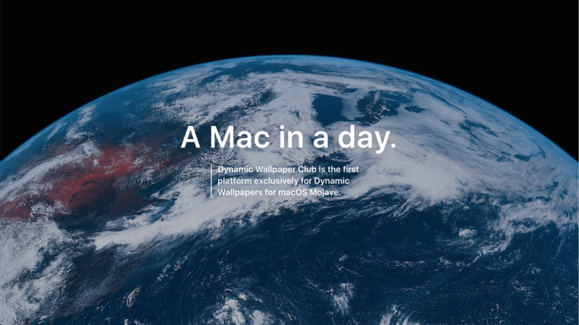 Dynamic Wallpaper Splash Page